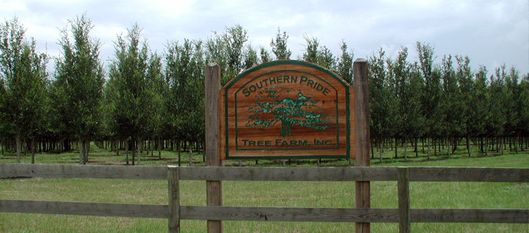 Southern Pride Tree Farm