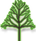 Standard Live Oak Tree Icon